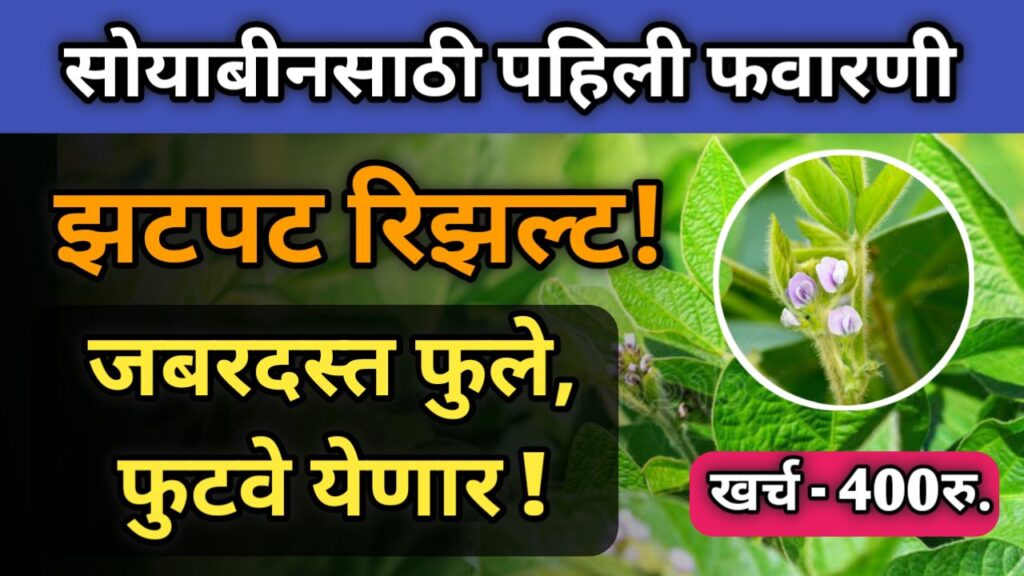 soybean-pahili-favarni-in-marathi
