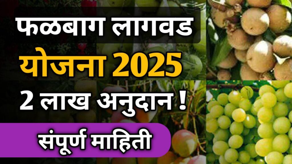 20250803 1741411110734502811832783