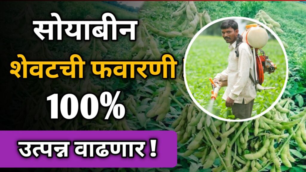 soyabean-shevatchi-favarni-tisri-favarani
