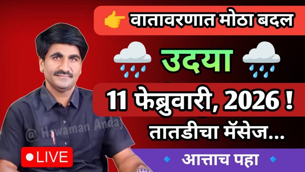 20260211 0043025328683184631639374